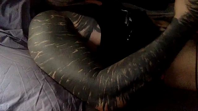 Jlmpollo Pertunjukan Webcam