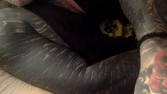Jlmpollo 웹캠 쇼
