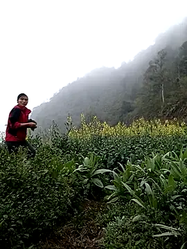 ngan-cuteのウェブカメラショー