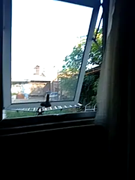 aquel_boy_xx Adlı Modelin Web Kamerası Şovu