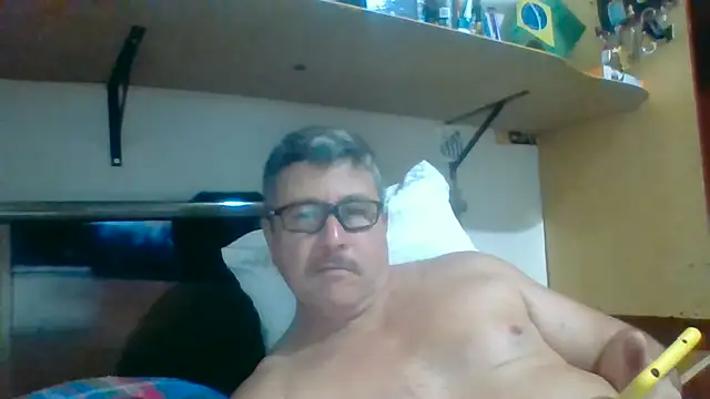 Show de Sanwaldec na webcam