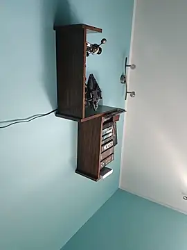 krysztalowyn Webbikameraesitys