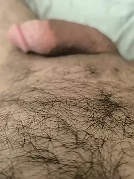 baran4664n Webbikameraesitys