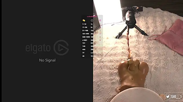 Just__dani Webcam-Show