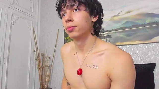 Tyler_durten webkamerás műsora