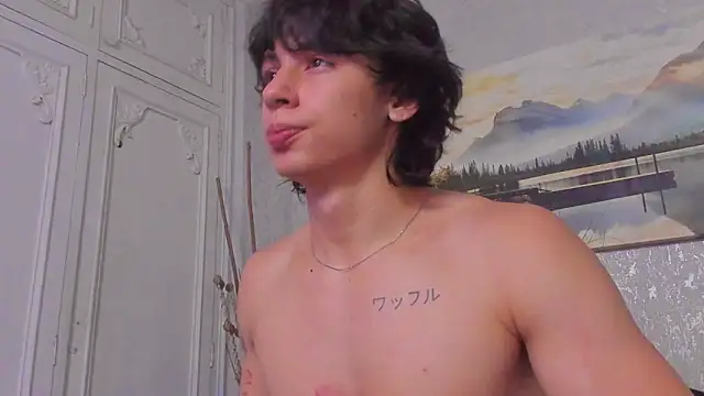 Tyler_durtenn Webbikameraesitys