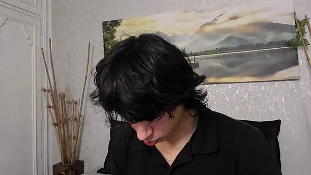Tyler_durtenn Webbikameraesitys