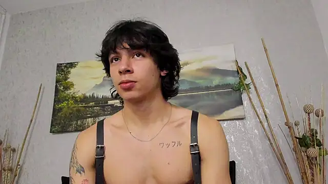 Show webcam de Tyler_durten