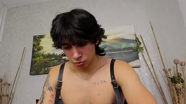 Show modela Tyler_durten na web-kameri