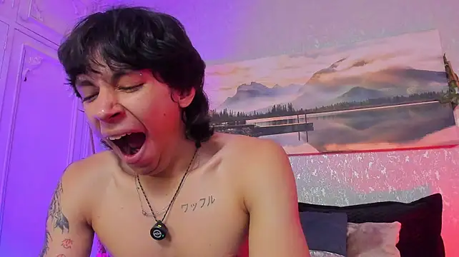 Tyler_durtenn Webbikameraesitys