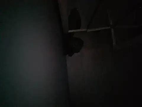 Badboibeto: διαδικτυακό σόου στην κάμερα