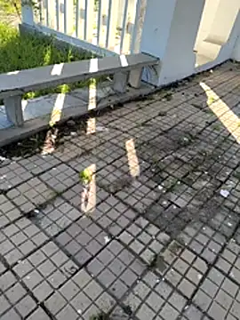 szy4418 Webcam-Show