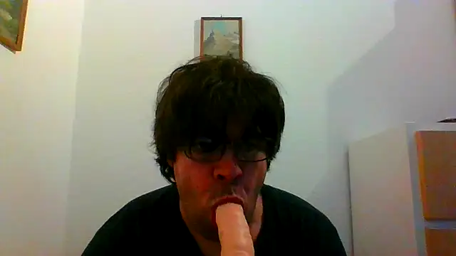 sanino34n Webbikameraesitys