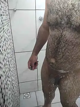 Show Webcam de Novin23cms