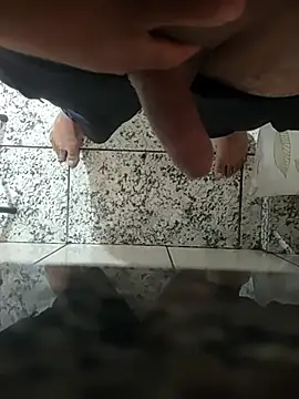 Show de Novin23cms na webcam