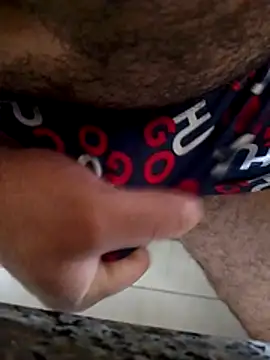 Show de Novin23cms na webcam