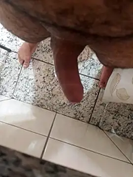 Novin23cms Webcam Show
