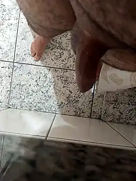 Novin23cms Webcamshow