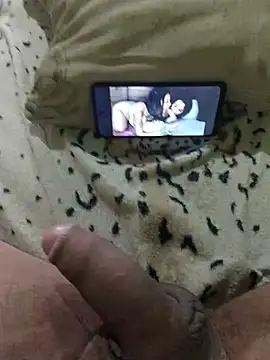 Show de Novin23cms na webcam