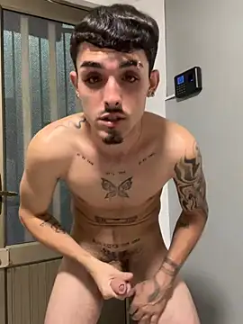Show de NikoStone_ na webcam