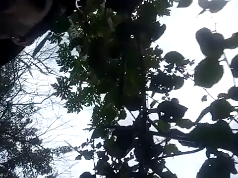 Pertunjukan Kamera Web hairy_mannn