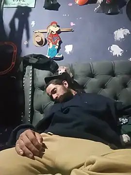 Вебкам-шоу hairy_mannn