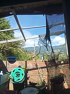 hairy_mannnn Webbikameraesitys