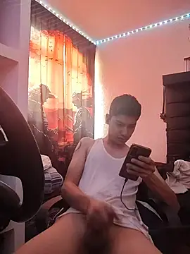 aispuro8505 Webcam-Show