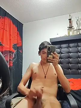 aispuro8505 Show in webcam