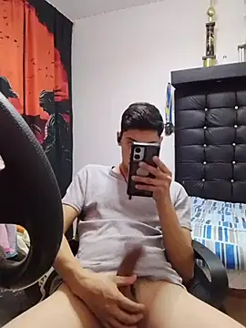 aispuro8505 Show in webcam