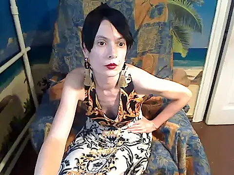 Bastet12 – Kamerová šou