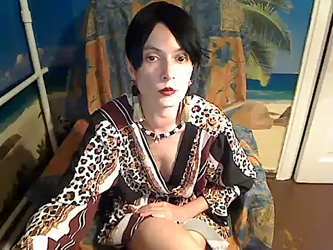 Bastet12n Webbikameraesitys
