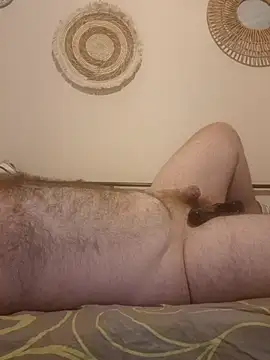 Dreamsfocus55 webcam show