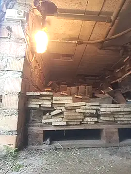 Pertunjukan Kamera Web delfi6