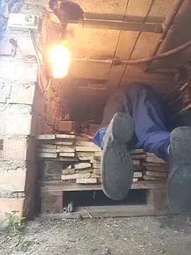 delfi6 Show in webcam