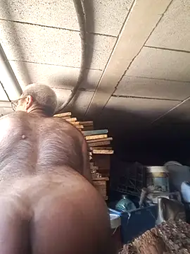 Show Webcam de delfi6