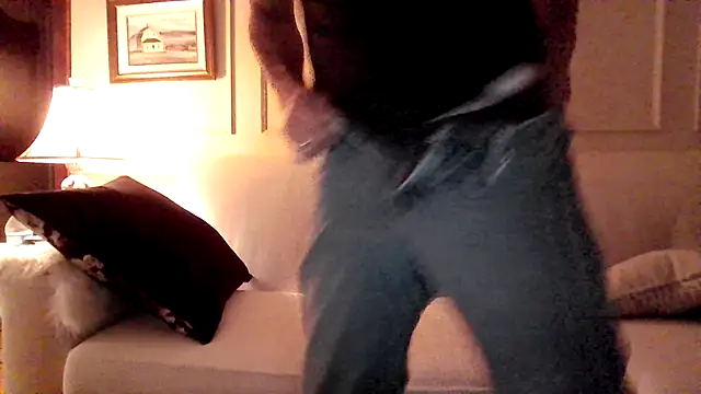 Ardokksn Webbikameraesitys