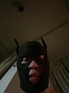 dogslavehf Pertunjukan Webcam