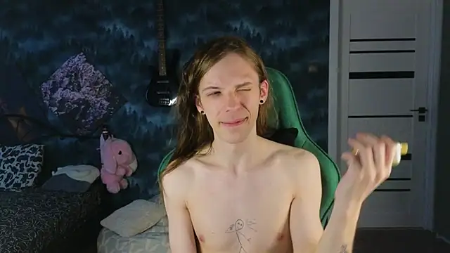 artass2n Webbikameraesitys