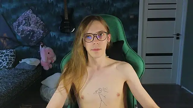 artass2 Show Webcam