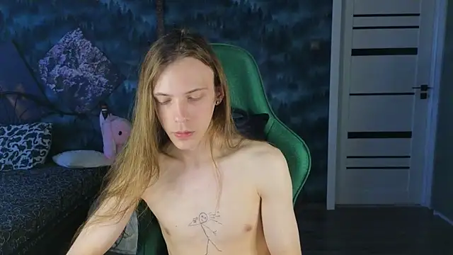 artass2 웹캠 쇼
