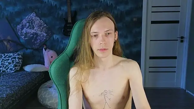 artass2n Webbikameraesitys