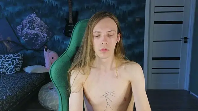 artass2 Show Webcam