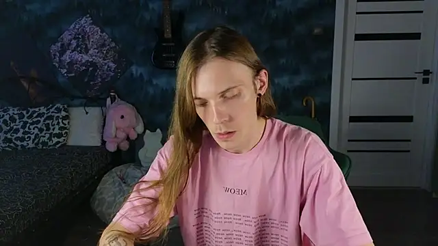 artass2n Webbikameraesitys
