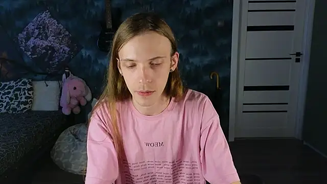 artass2n Webbikameraesitys