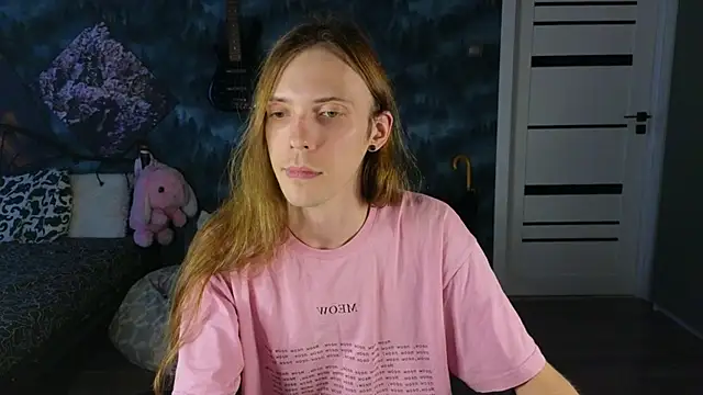 artass2n Webbikameraesitys