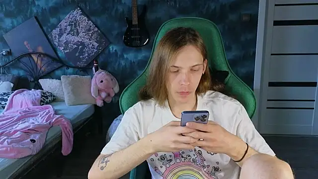 artass2n Webbikameraesitys