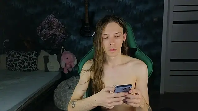 artass2n Webbikameraesitys