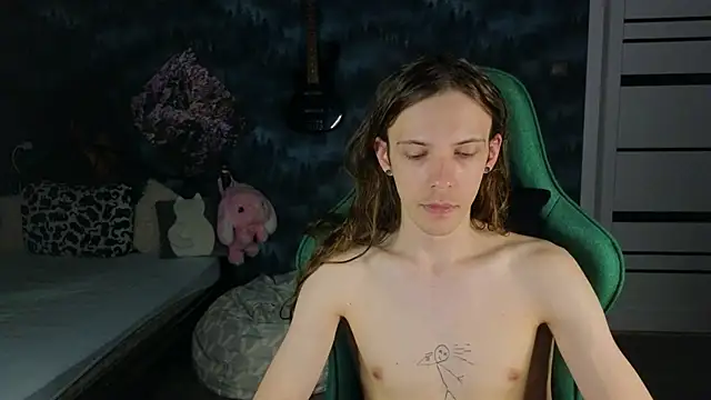 artass2n Webbikameraesitys