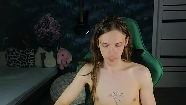 artass2 Show Webcam